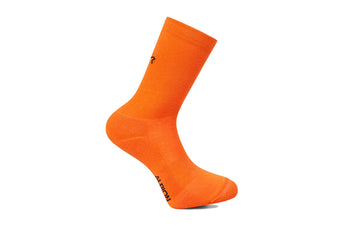 Albion Winter Socks