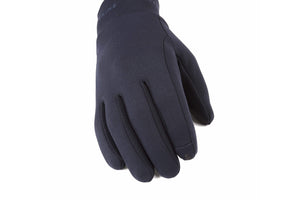 Sealskinz ACLE Water Resistant Nano Fleece Glove