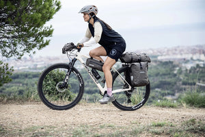Ortlieb Dry Pack