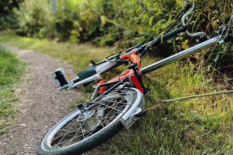 Tagesausflüge von Brompton: Der New Forest