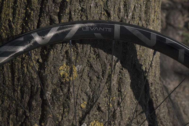 Campagnolo Levante Garvel Carbon Disc Wheelset