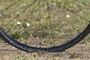 Campagnolo Levante Garvel Carbon Disc Wheelset