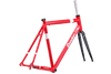 Condor Italia X Velopark Frameset