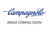 Campagnolo C3 Rotor 6-Bolt - DB-160C3-6B