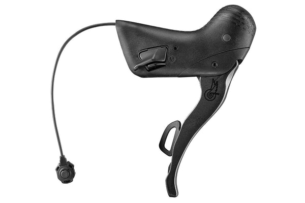 Campagnolo Ergopower Control Db Sx Chorus 12v. - Mandos De Cambio De La Bici | Nencini Sport Campagnolo Ergopower Control Db Sx Chorus 12v. - Mandos De Cambio De La Bici | Nencini Sport