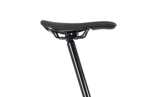 Fizik Aliante R7 for Brompton