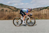 Specialized Cotton TLR Tyre
