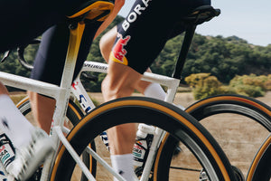 Specialized Cotton TLR Tyre
