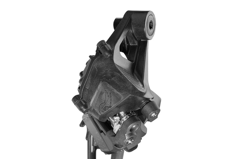 Campagnolo Record WRL 13-Speed Rear Derailleur