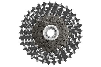 Campagnolo Record 13-Speed Cassette