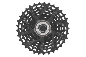 Campagnolo Record 13-Speed Cassette