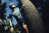 Assos Equipe R Jersey x EF Education Spooky Collection