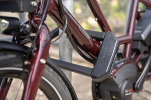 Hiplock DX1000 D-Lock
