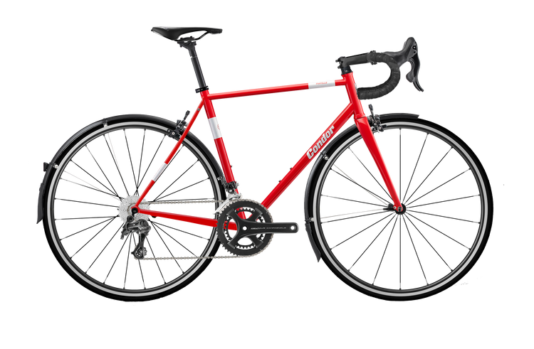 Fratello with Centaur 11-Speed Groupset