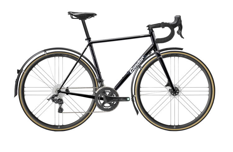 Italia Disc with Chorus Disc 12-Speed
