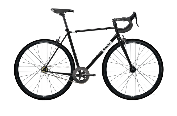 Pista Endurance Build