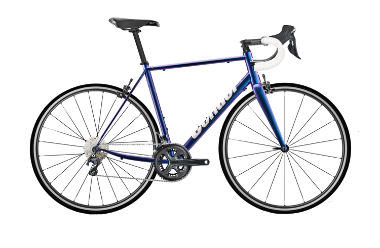 Super Acciaio Disc with Tiagra 11-Speed