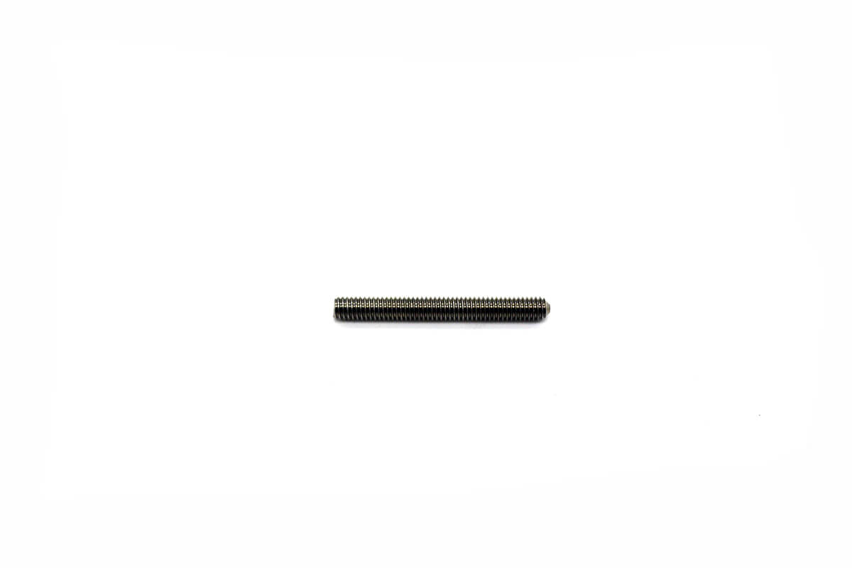 Replacement Pair of Stainless Screws for Pista Dropout
